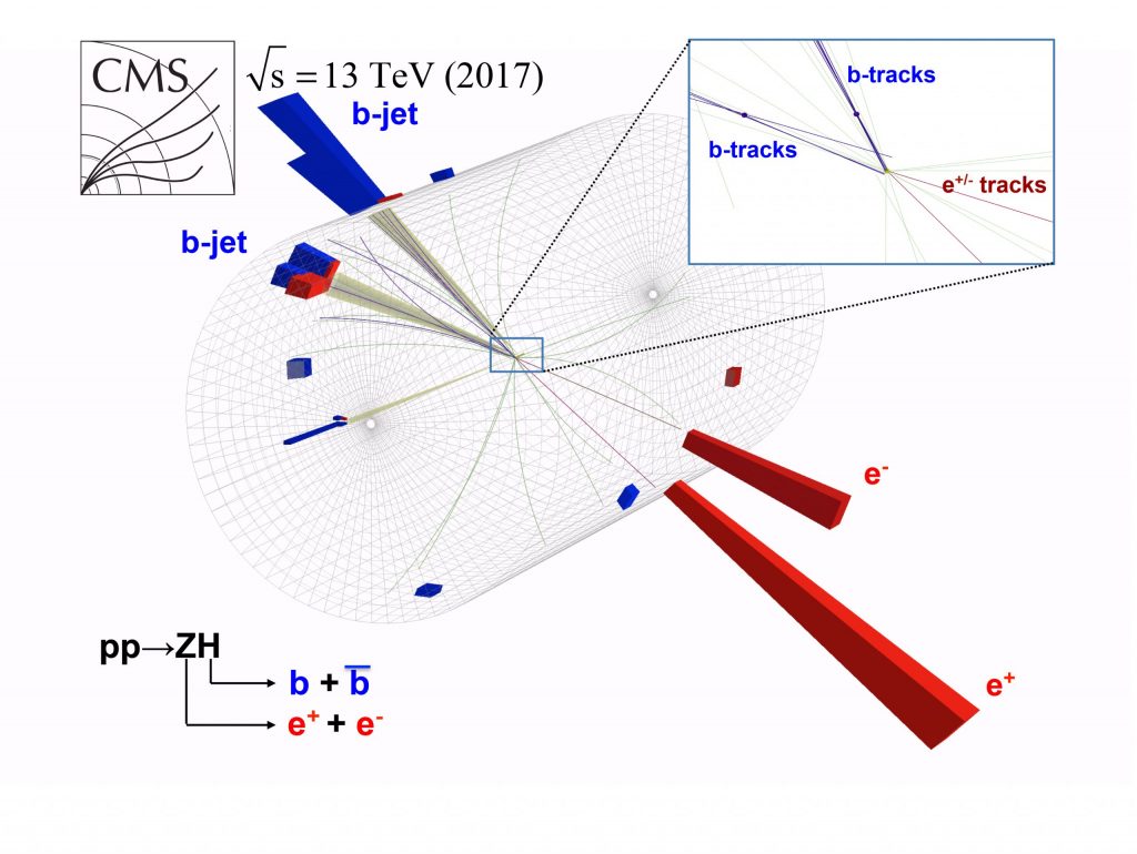 This event display from CMS shows a proton-proton collision inside the Large Hadron Collider that has characteristics of a Higgs decaying into two bottom quarks. While this is the most common decay of the Higgs boson, its signature is very difficult to separate from similar looking background events. Image courtesy of CMS
