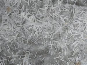 Throwback Thursday: A frozen puddle with long ice grains forms near the CUB cooling pond. Photo: Jason St. John, winter, ice, nature