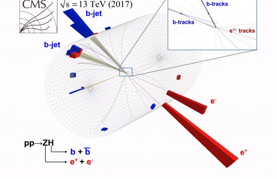 This event display from CMS shows a proton-proton collision inside the Large Hadron Collider that has characteristics of a Higgs decaying into two bottom quarks. While this is the most common decay of the Higgs boson, its signature is very difficult to separate from similar looking background events. Image courtesy of CMS