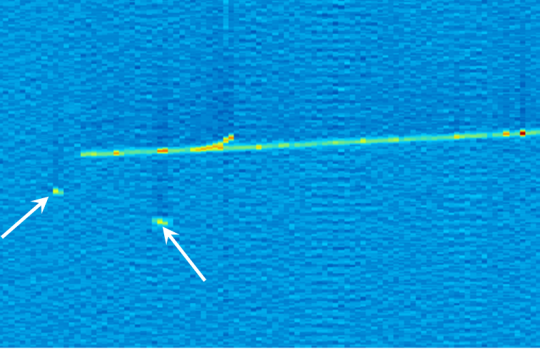 This is a visual display of an ArgoNeuT event showing a long trail left behind by a high energy particle traveling through the liquid argon accompanied by small blips caused by low energy particles.