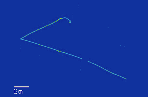 Heavy neutrino decay simulation