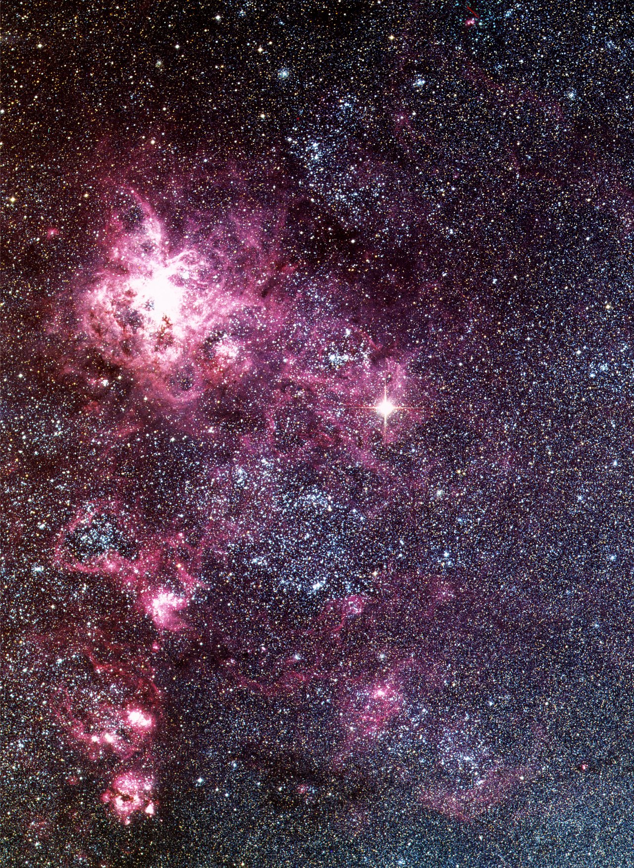 Is Betelgeuse About to Become a Supernova?