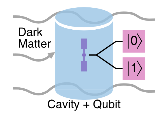 The blue cylinder in this diagram represents a superconducting microwave cavity used to accumulate a dark matter signal. The purple is the qubit used to measure the state of the cavity, either 0 or 1. The value refers to the number of photons counted. If the dark matter has successfully deposited a photon in the cavity, the output would measure 1. No deposition of a photon would measure 0. Image: Akash Dixit, University of Chicago