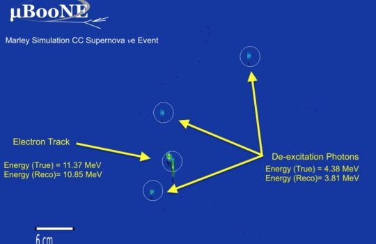 A simulated supernova neutrino interaction in the MicroBooNE detector, produced using MARLEY. This work lays a strong foundation for future supernova neutrino measurements with DUNE. Credit: MicroBooNE collaboration