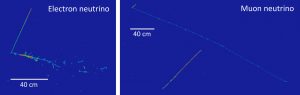 Two graphs on bright blue background with different scales of 40 centimeters. The one of the left is labeled electron neutrino. The chart on the right is labeled muon neutrino.