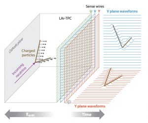 Three vertical planes of sense wires stand in the center of this 3D chart that shows on the left how particles flying through the detector create electrons that drift to the sense wires of the detector, and on the right shows electric signals – the waveforms – that these wires will collect as a function of time. To the left, an incoming neutrino travels through the liquid argon of the time projection chamber, and it eventually splits into two charged particles that knock loose electrons in the liquid. To the right of the sense wires, waveforms are shown for the Y plane and the V plane.