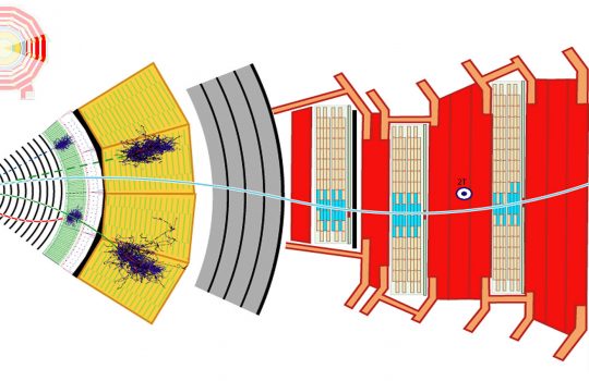 Colorful schematic of a detector