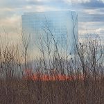 a fire burns grasses with a building in the background