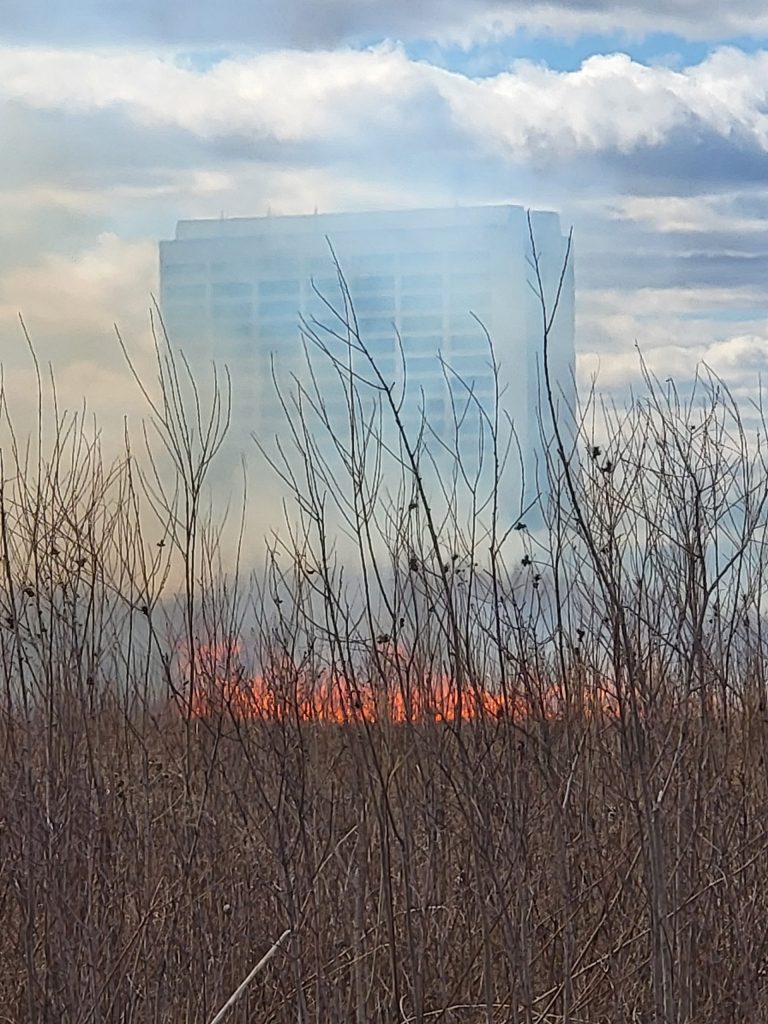 a fire burns grasses with a building in the background