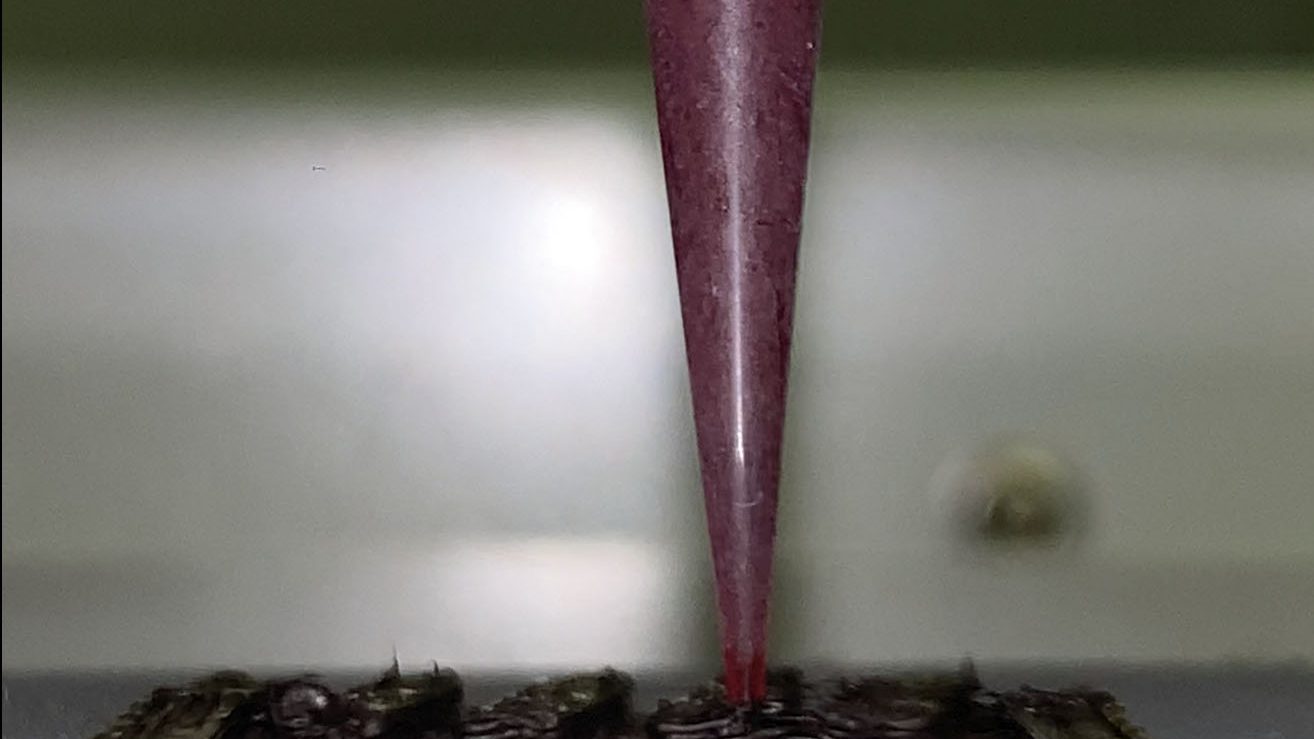 A superconducting material is 3D printed. Credit: Dingchang Zhang