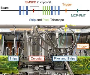 the experimental setup of the superconducting microwire single-photon detector at Fermilab