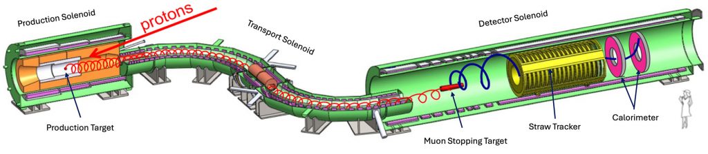 The Mu2e detector is a particle physics detector embedded in a series of superconducting magnets. Muons will flow through the Mu2e experiment into the detector solenoid, where they will first encounter the stopping target, shown at right in red. The subsequent electrons will then encounter the tracker, depicted at right in yellow, and calorimeter subdetectors, shown at right in pink. Credit: Mu2e collaboration