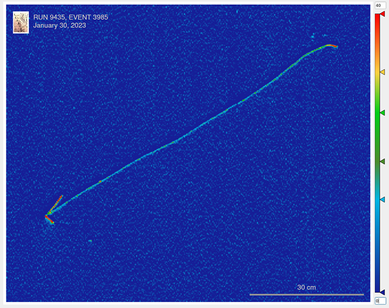 A muon-neutrino interaction recorded by ICARUS.